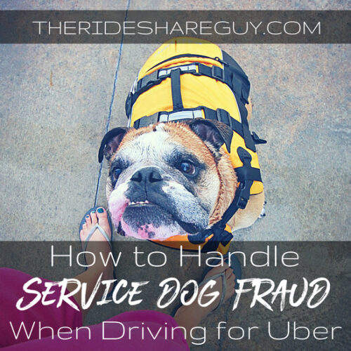 A growing issue for drivers is service dog fraud, but how can you recognize the fraud, what does the law say, and what does Uber actually do about this?