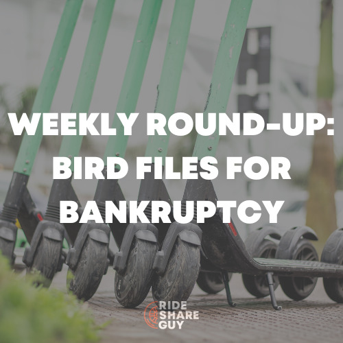 Weekly Round-Up Bird Files for Bankruptcy