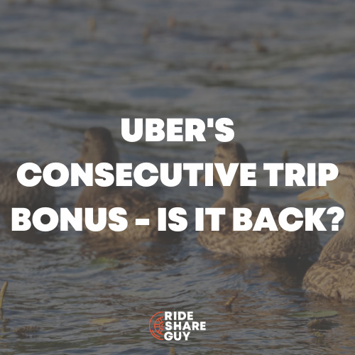 Uber's Consecutive Trip Bonus - Is it Back